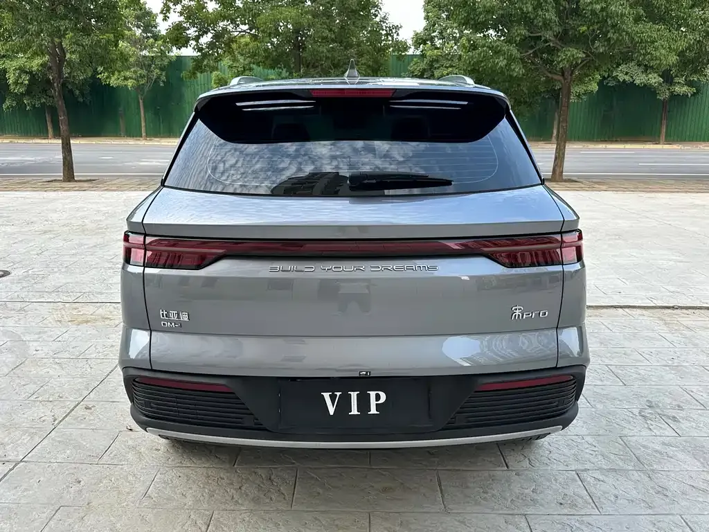 BYD Pro New Energy 2024 из CN, фото 5
