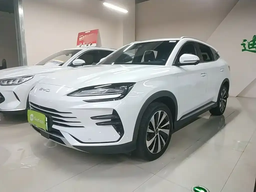 BYD PLUS New Energy — фото 8