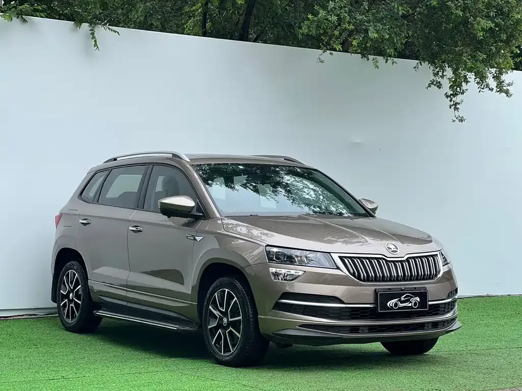 Skoda Karoq — фото 9