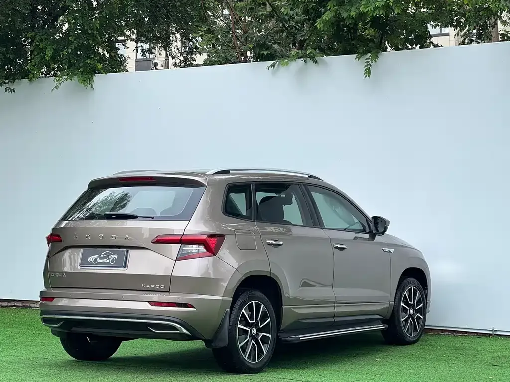 Skoda Karoq — фото 6