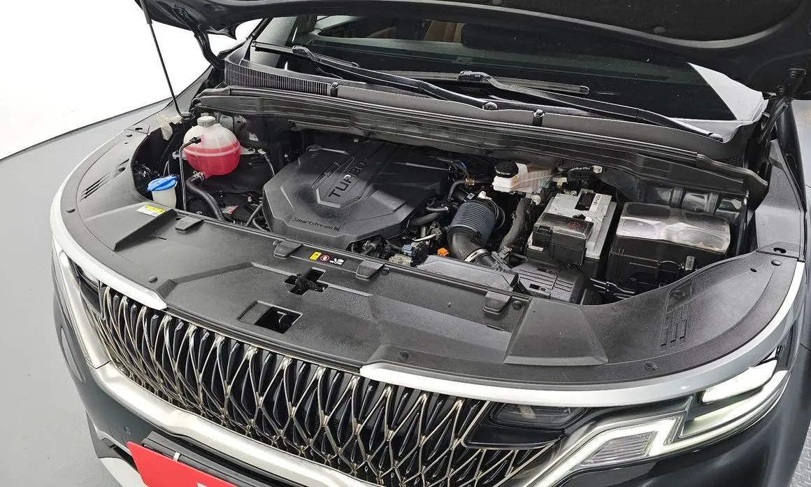 Kia Carnival — фото 10