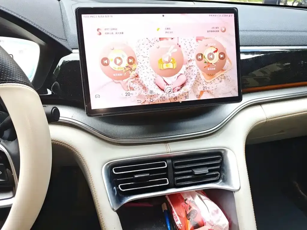 BYD PLUS New Energy — фото 10
