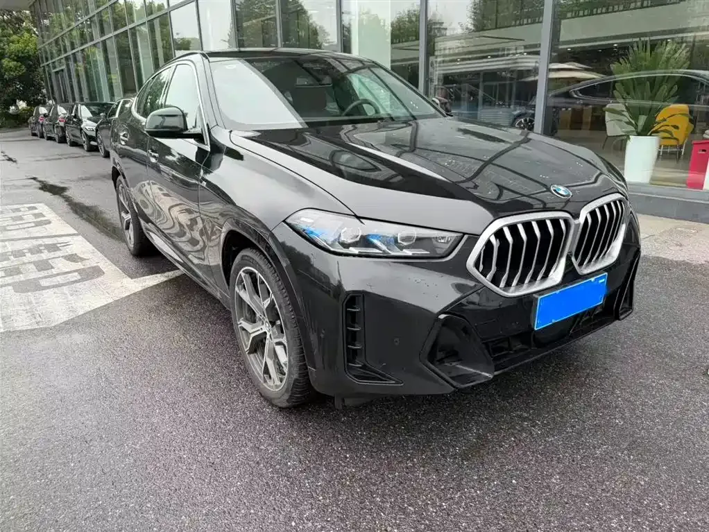 BMW X6 — фото 10