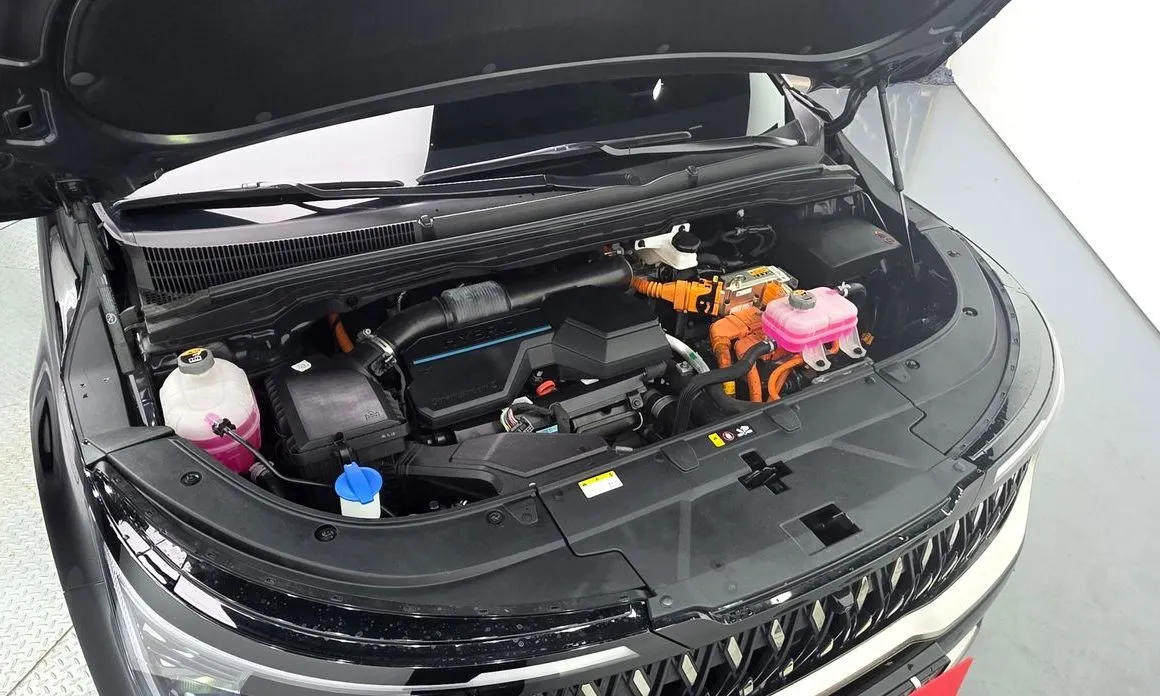 Kia Carnival — фото 10