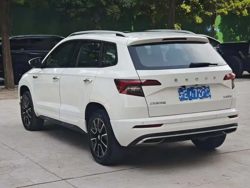 Skoda Karoq 2022 из CN, фото 7