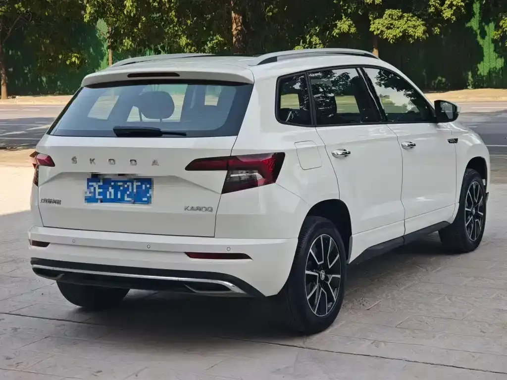 Skoda Karoq 2022 из CN, фото 8