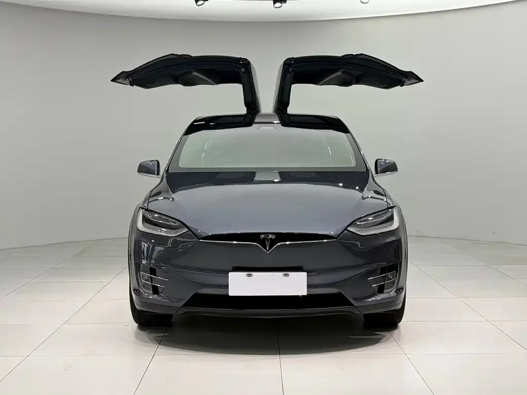 Tesla Model X — фото 3