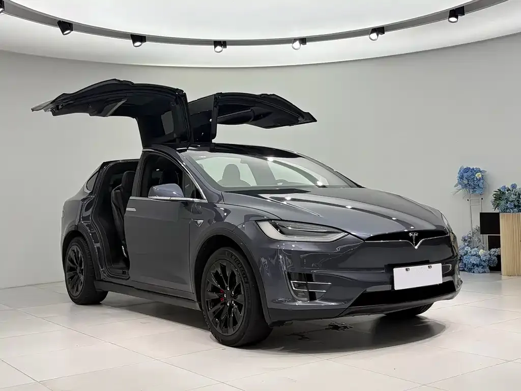 Tesla Model X — фото 4