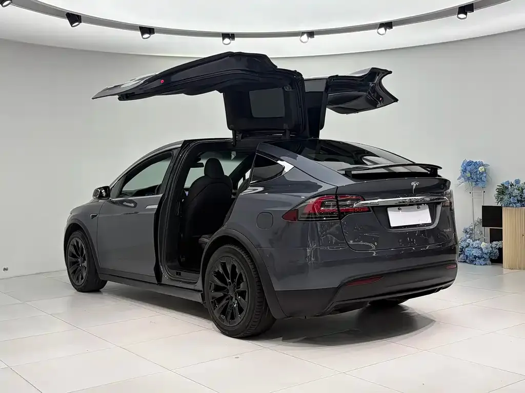 Tesla Model X — фото 8
