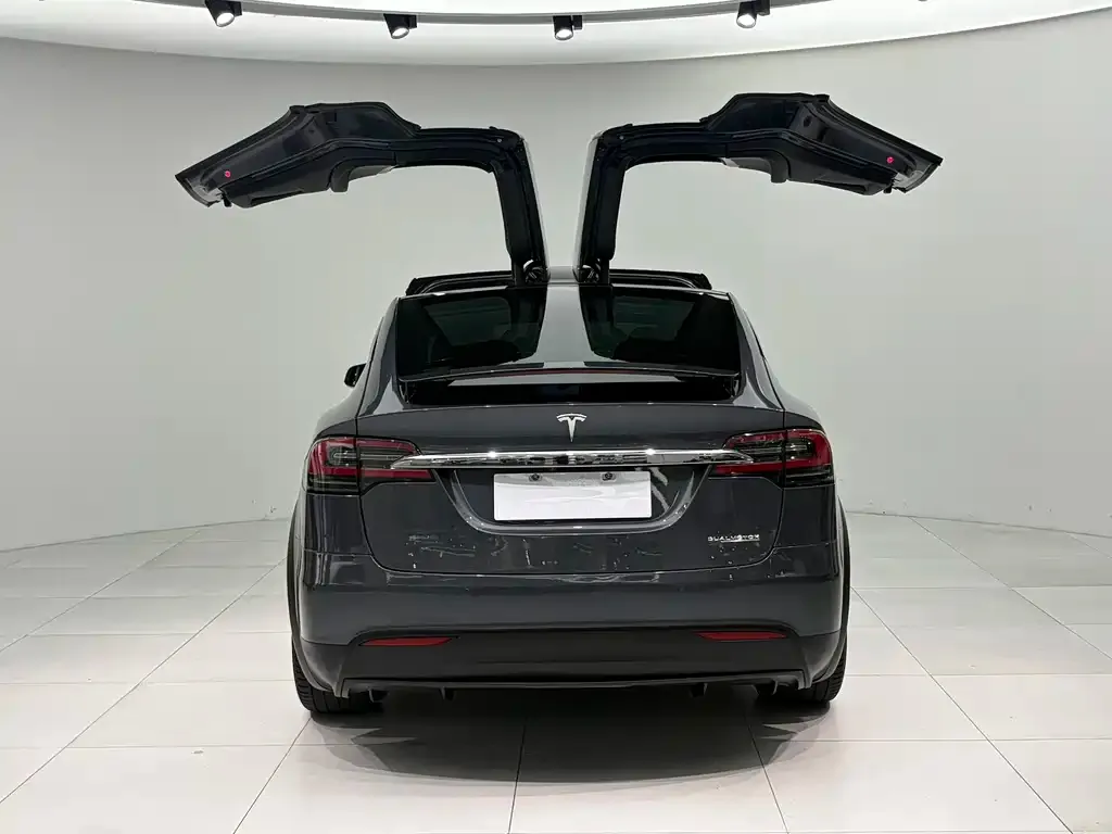 Tesla Model X — фото 2