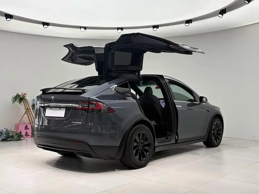 Tesla Model X — фото 7