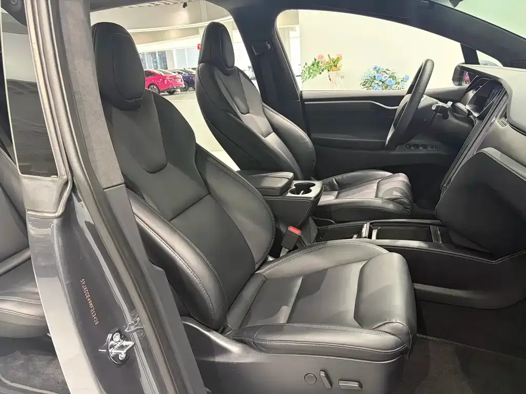 Tesla Model X — фото 10