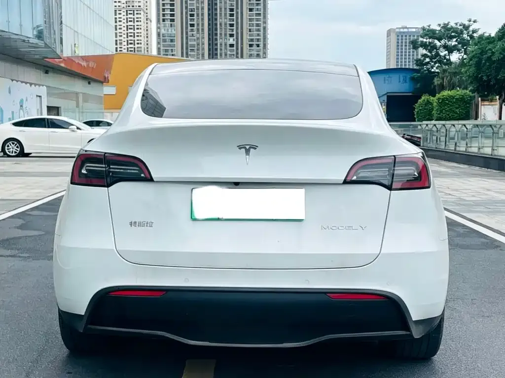 Tesla Model Y — фото 10