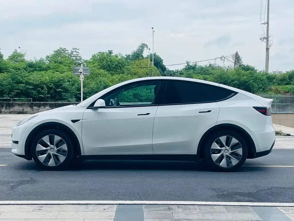 Tesla Model Y — фото 7