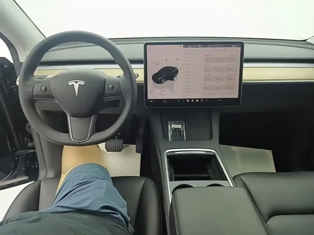Tesla Model Y — фото 10