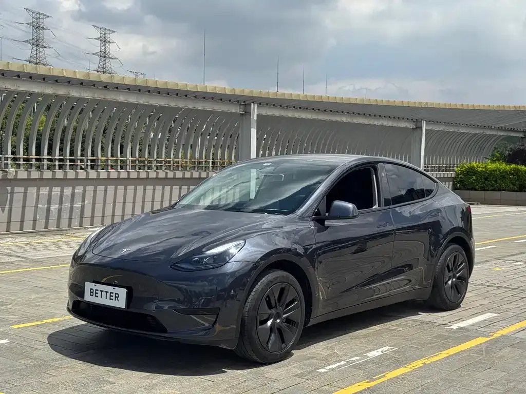 Tesla Model Y — фото 1