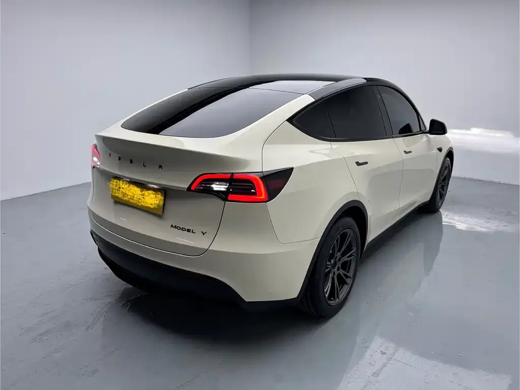 Tesla Model Y — фото 5
