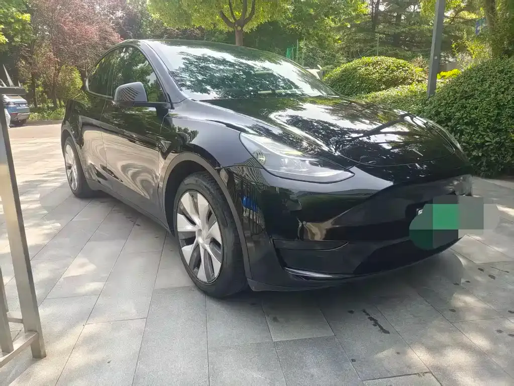 Tesla Model Y — фото 10