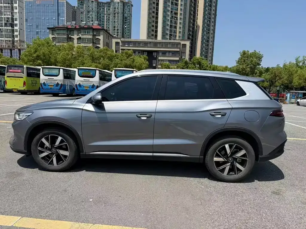 BYD Pro New Energy 2024 из CN, фото 6