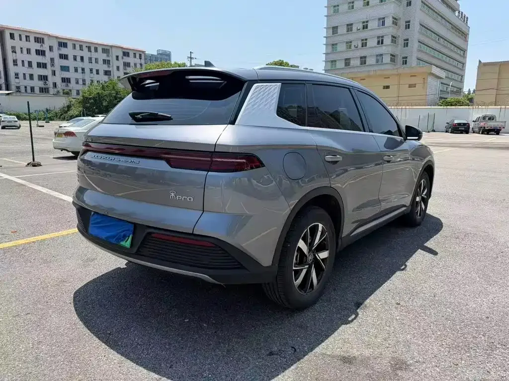 BYD Pro New Energy 2024 из CN, фото 10