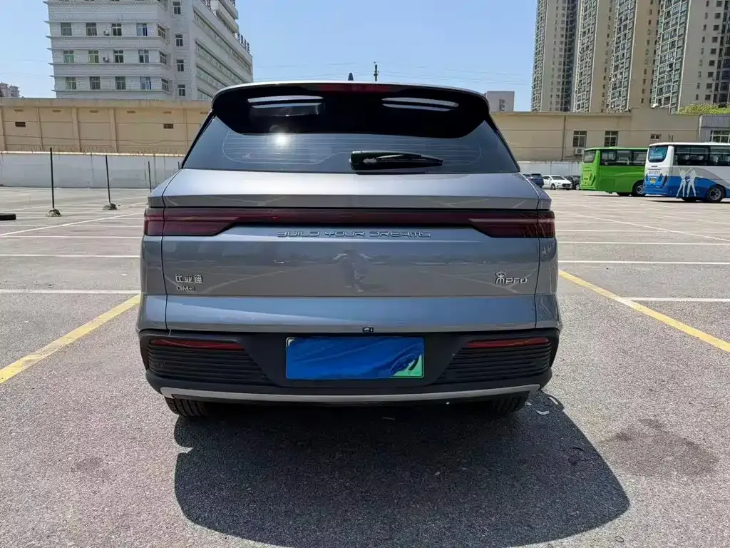 BYD Pro New Energy 2024 из CN, фото 9