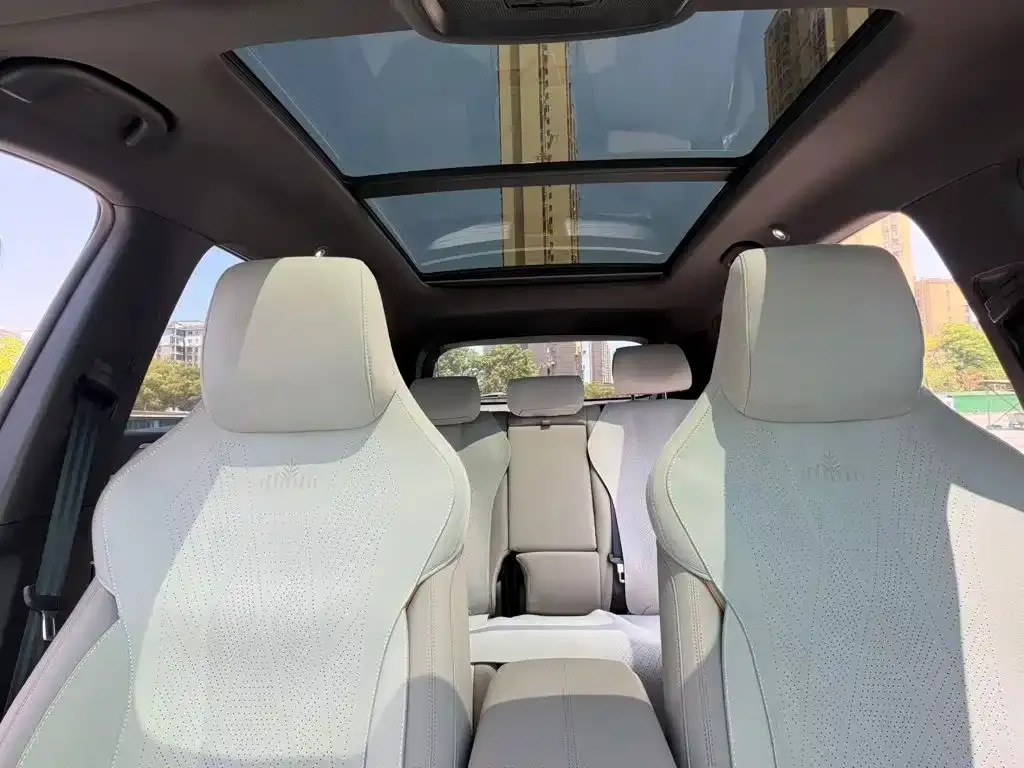 BYD Pro New Energy 2024 из CN, фото 4