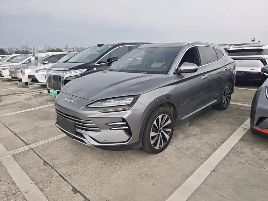 BYD PLUS New Energy — фото 1