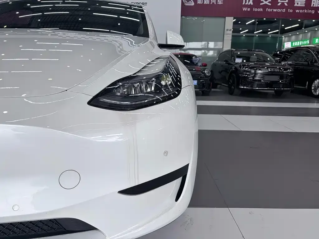 Tesla Model Y — фото 4
