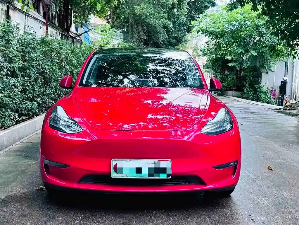Tesla Model Y — фото 5