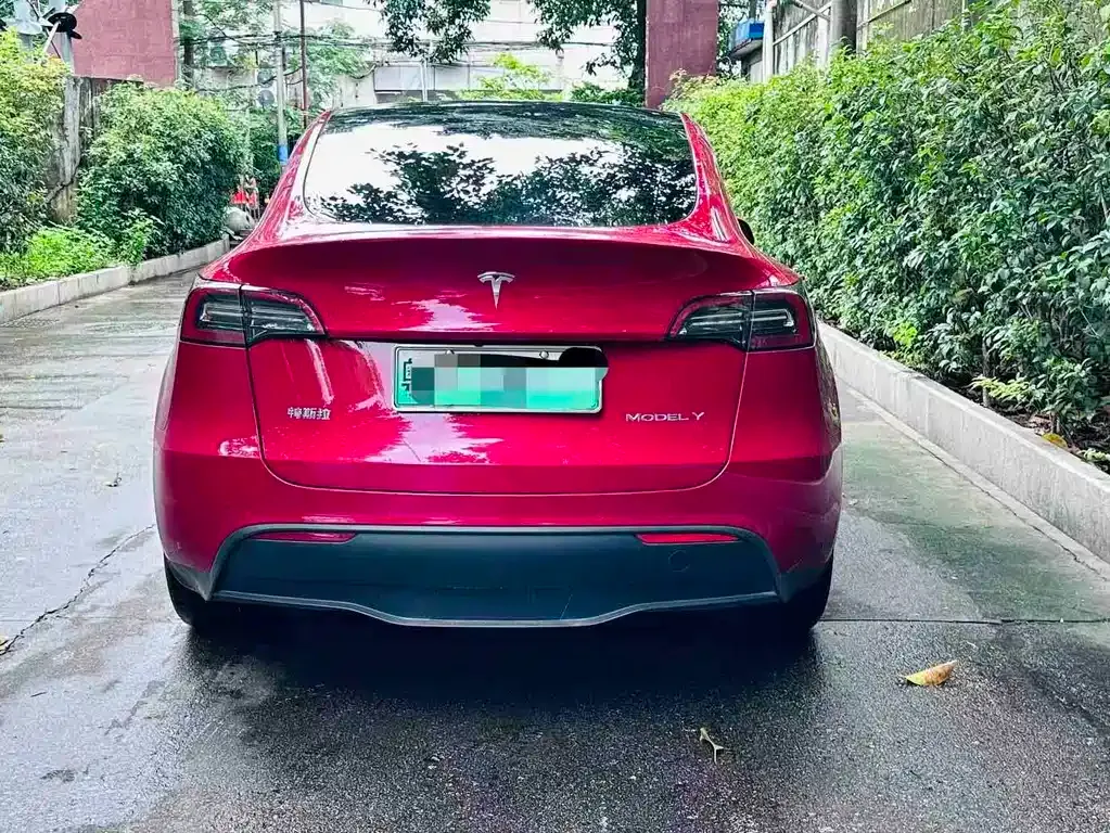 Tesla Model Y — фото 8