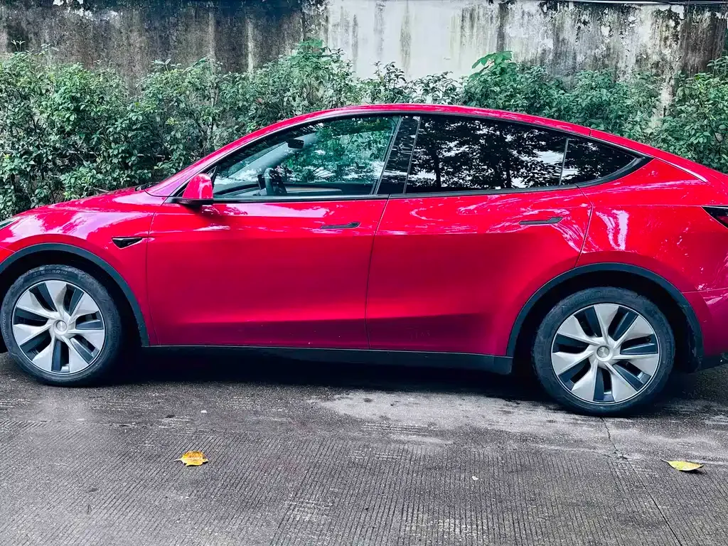 Tesla Model Y — фото 7