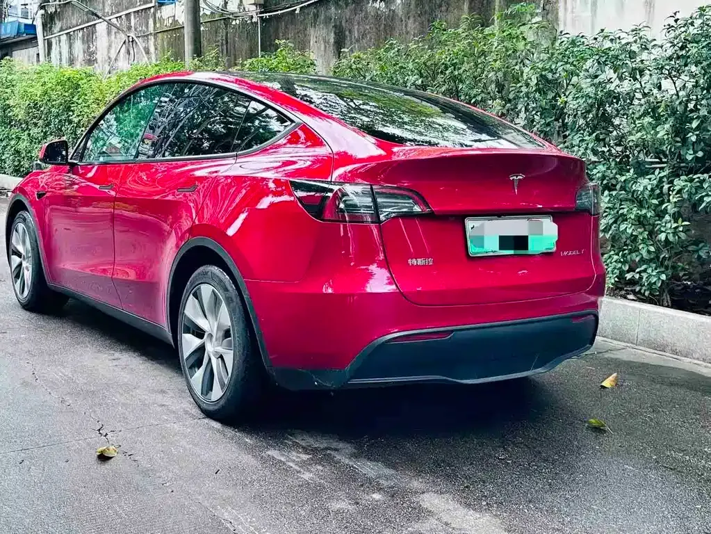 Tesla Model Y — фото 3