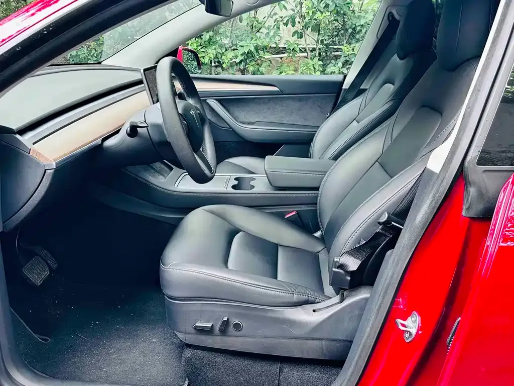 Tesla Model Y — фото 2