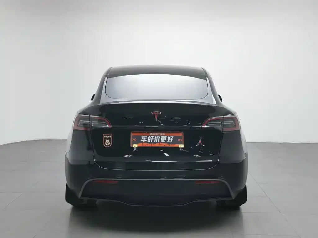 Tesla Model Y — фото 8