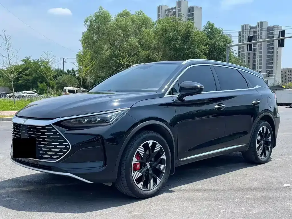 BYD Tang New Energy — фото 1