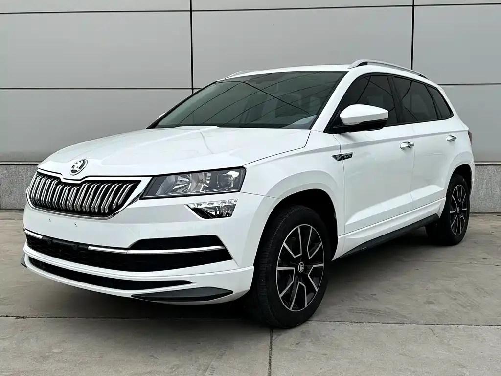 Skoda Karoq — фото 9