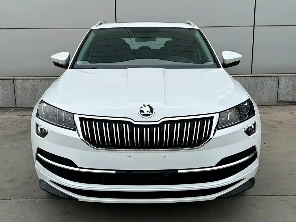 Skoda Karoq — фото 5
