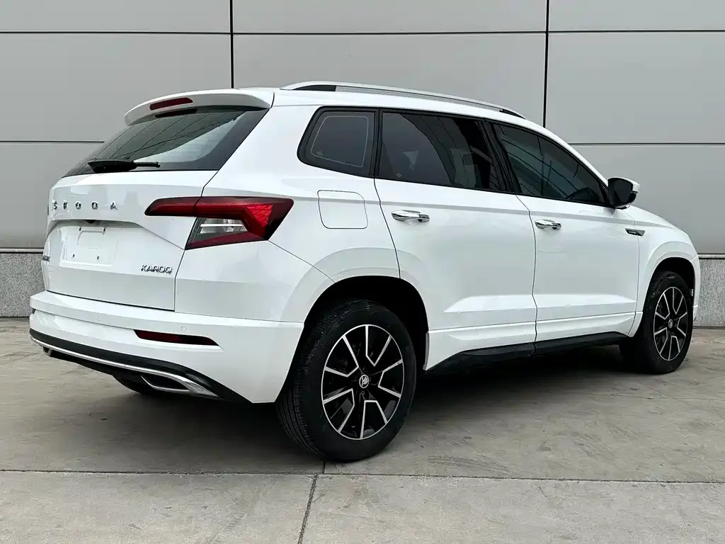 Skoda Karoq — фото 4