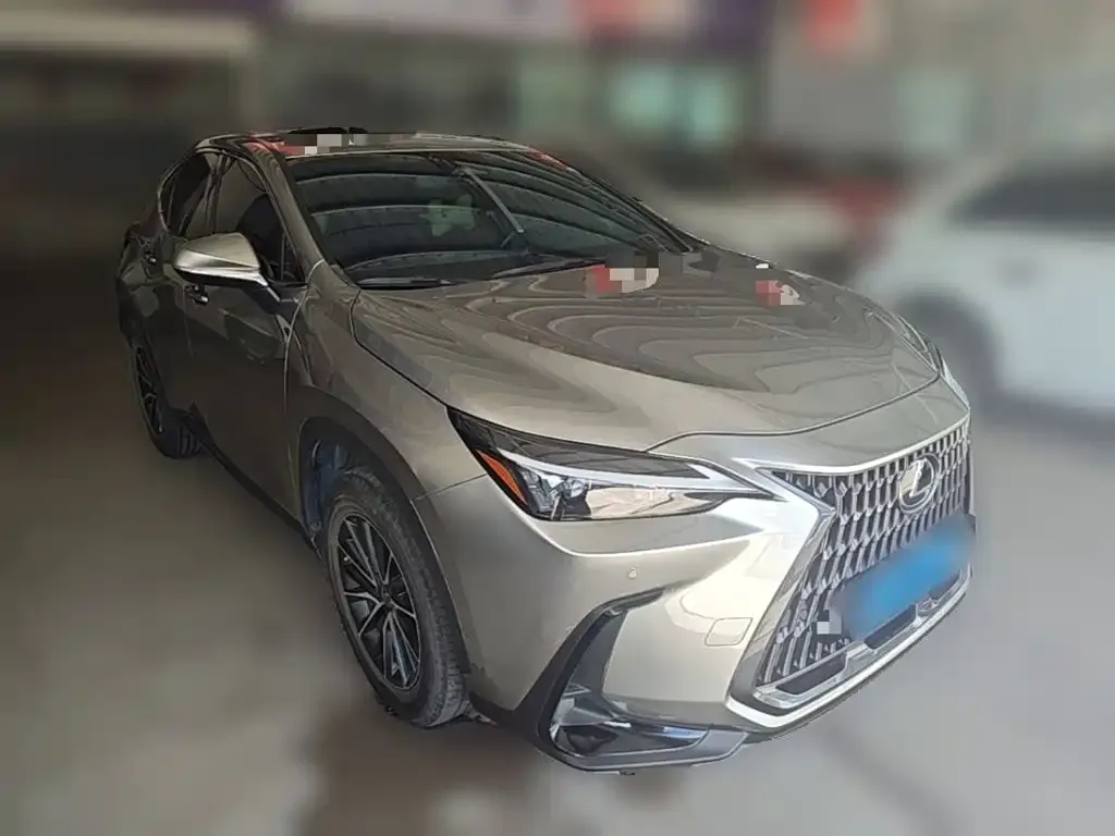 Lexus NX — фото 9