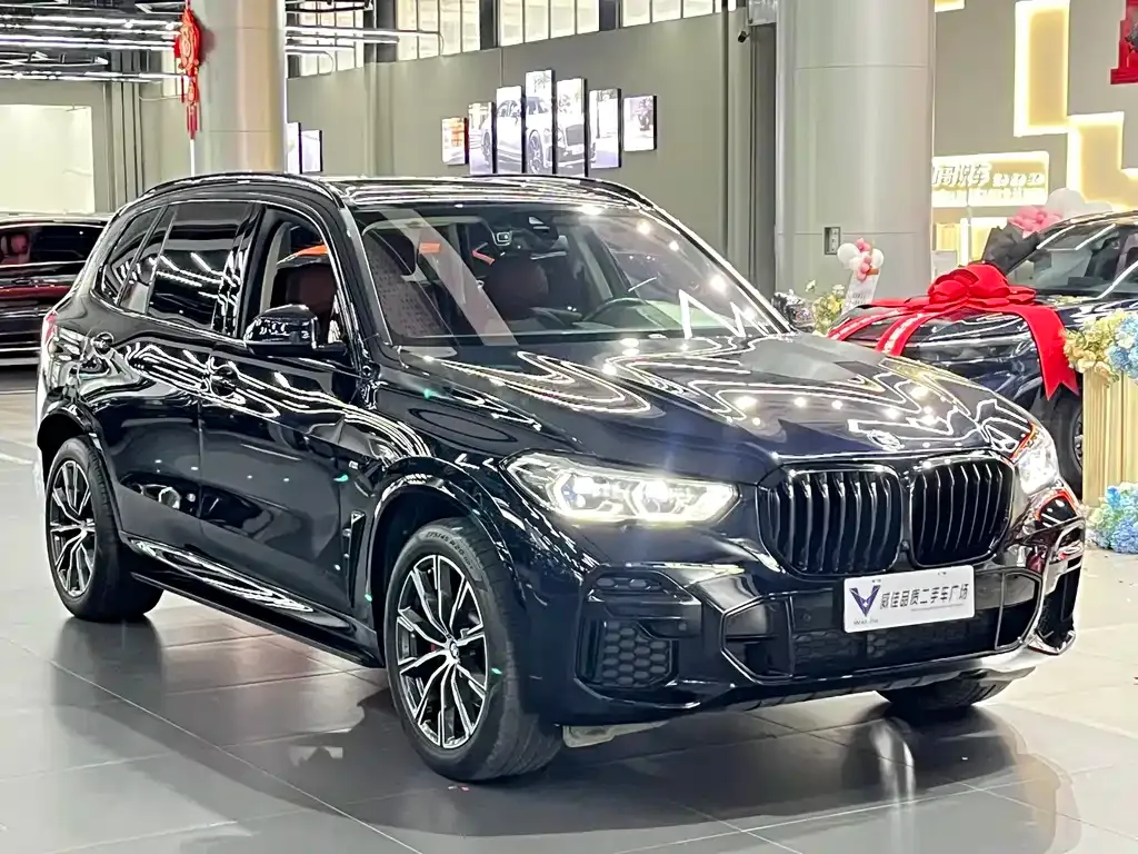 BMW X5 — фото 8