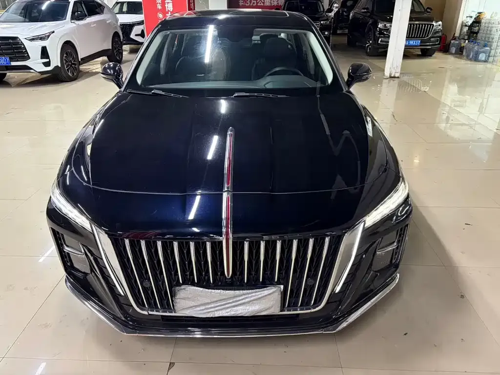 Hongqi H5 2023 из CN, фото 3