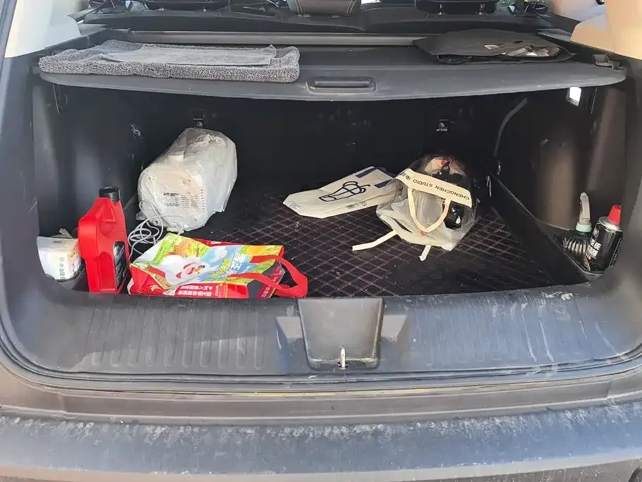 Haval Big Dog — фото 9