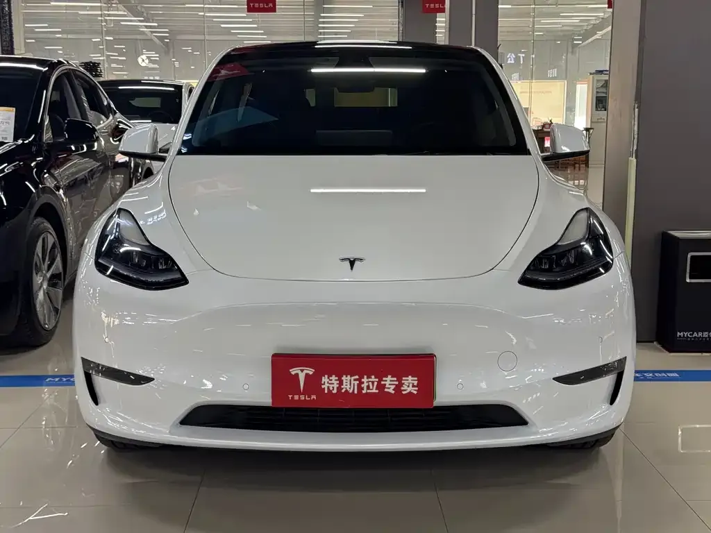 Tesla Model Y — фото 3