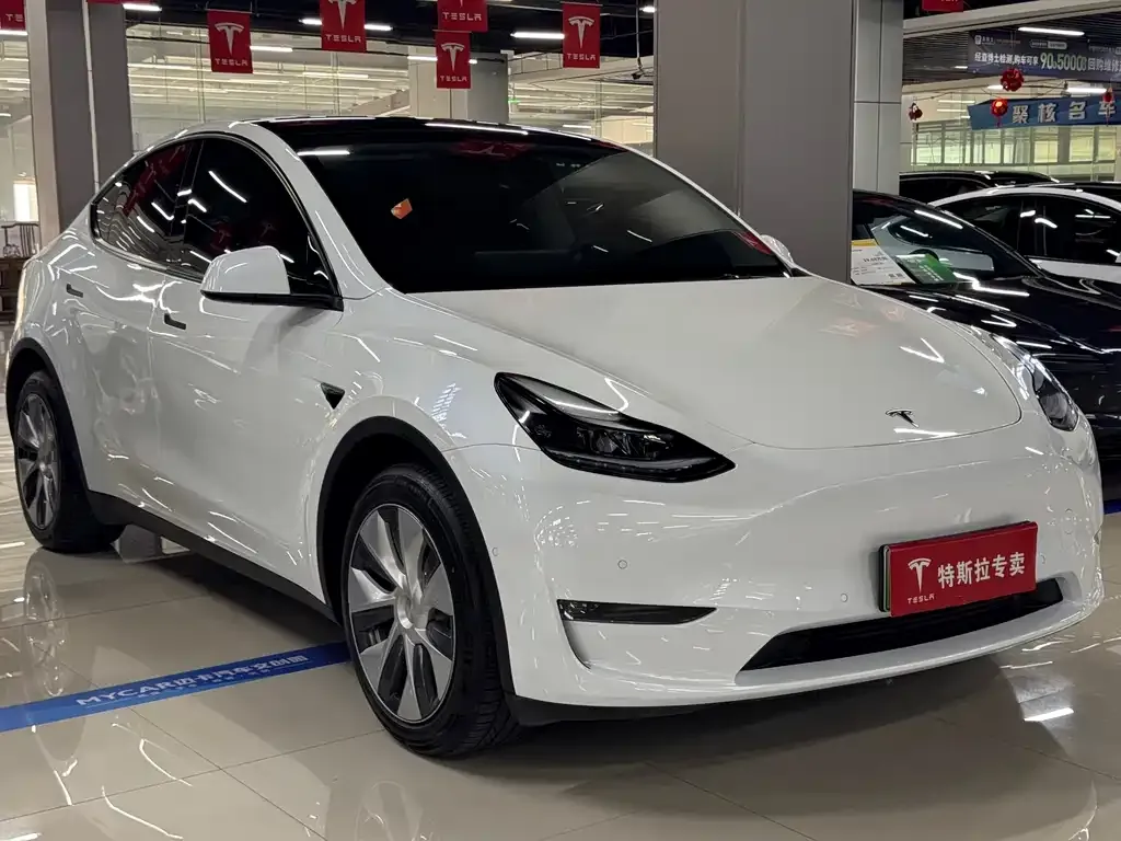 Tesla Model Y — фото 8