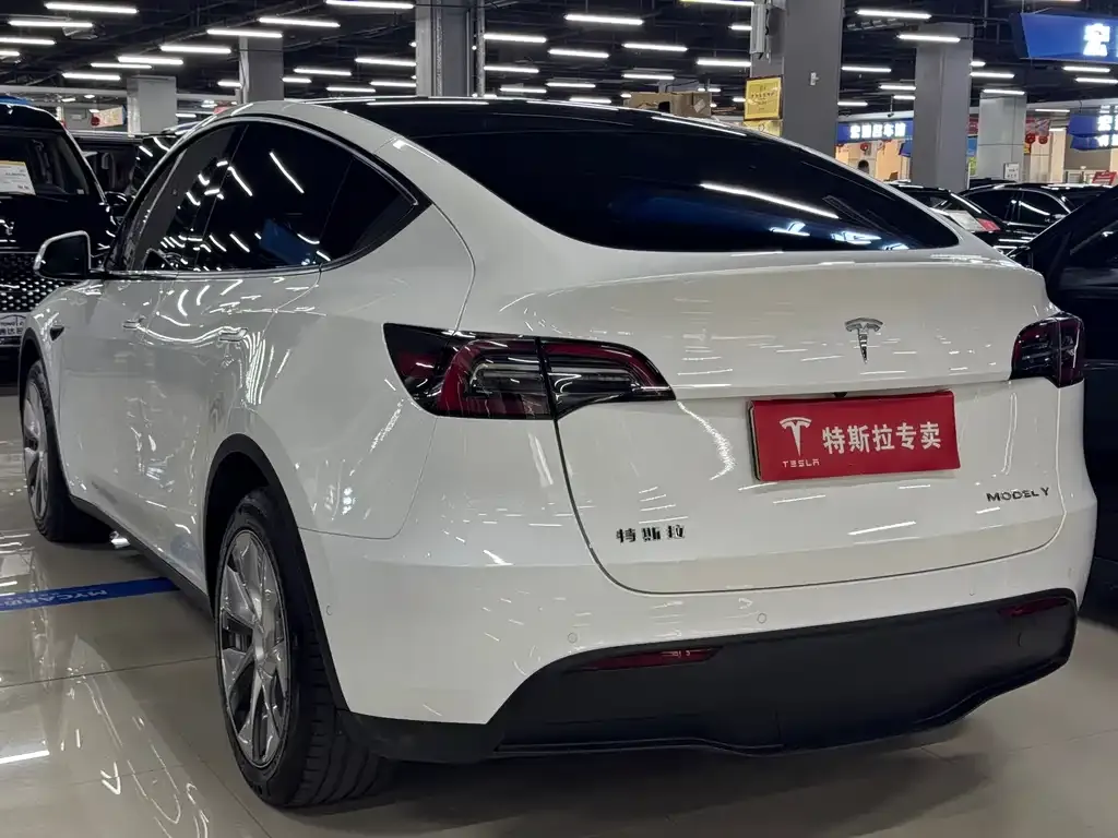 Tesla Model Y — фото 9