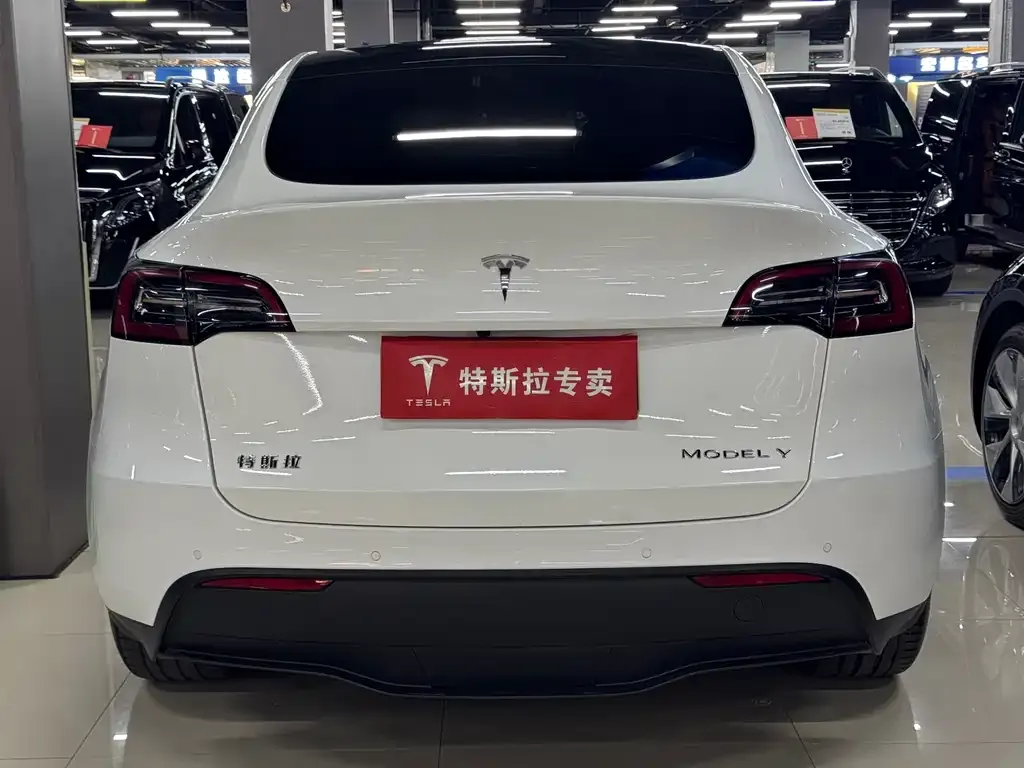 Tesla Model Y — фото 6