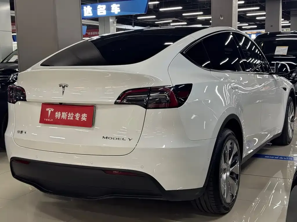 Tesla Model Y — фото 10