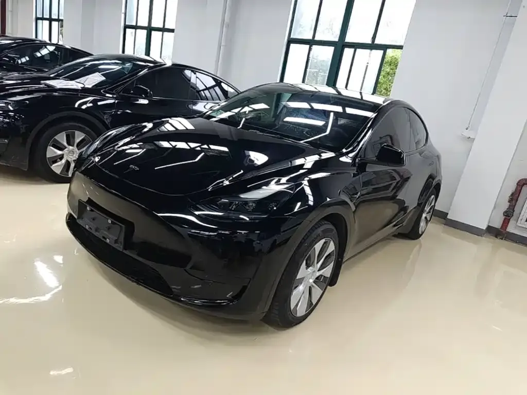 Tesla Model Y — фото 10