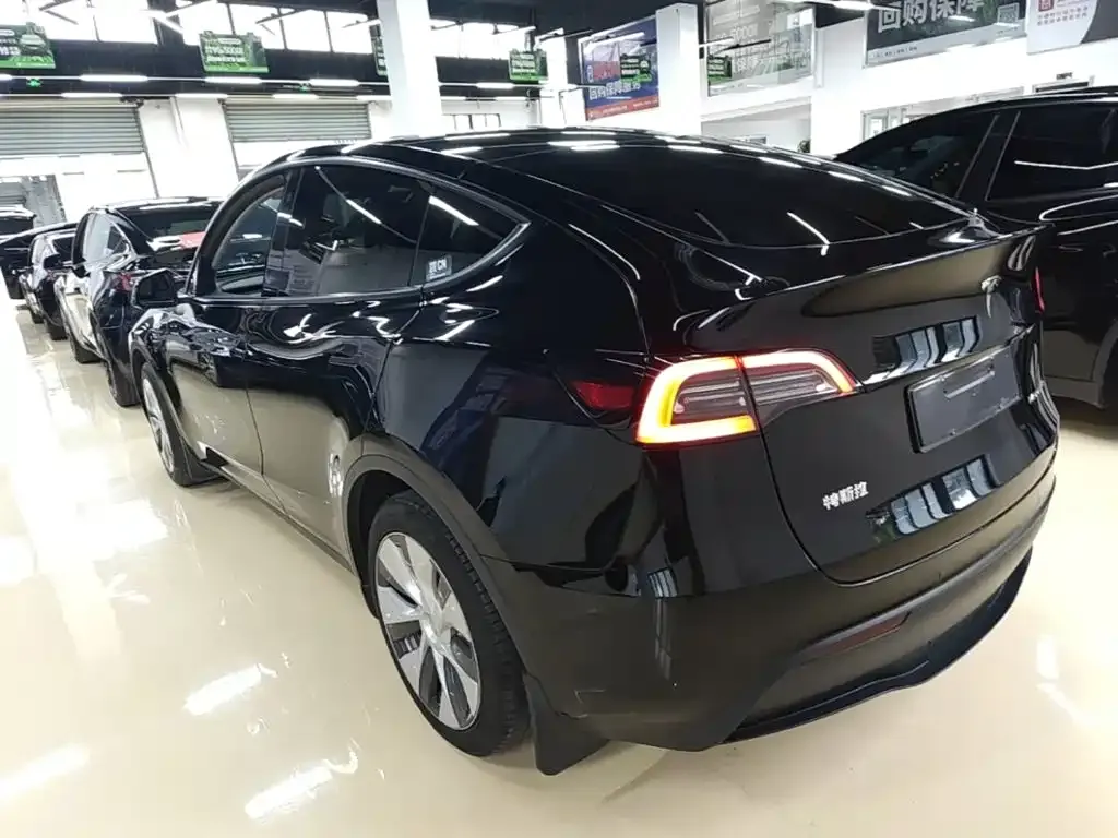 Tesla Model Y — фото 3