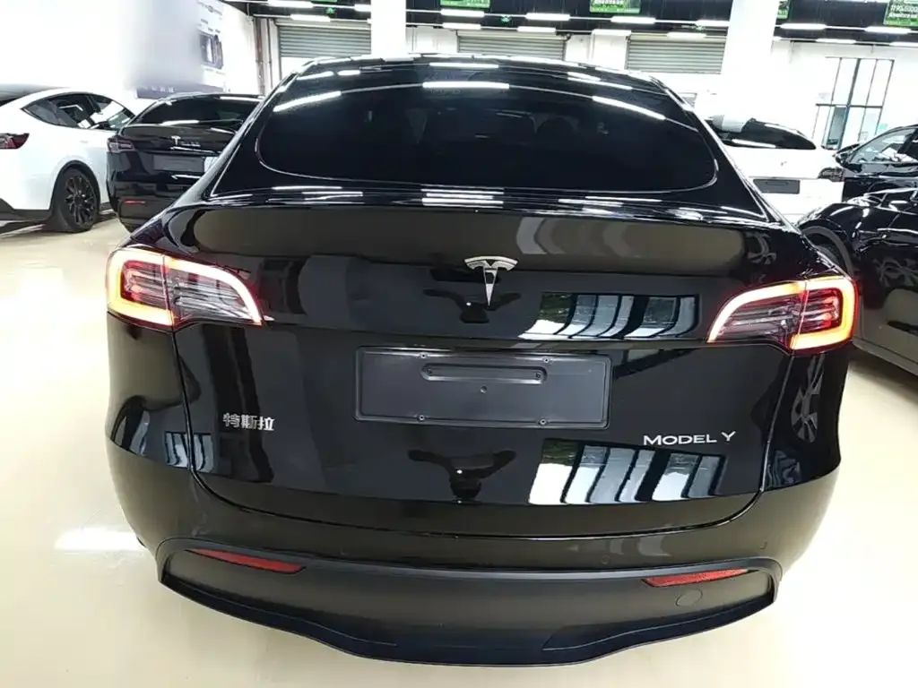 Tesla Model Y — фото 8